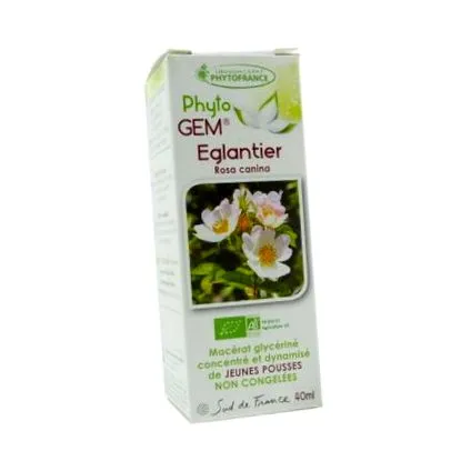 eglantier