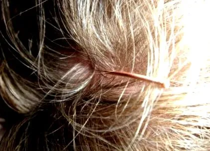 sebum