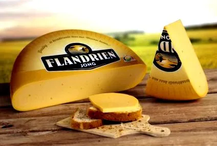 flandrien