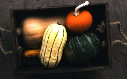 legume