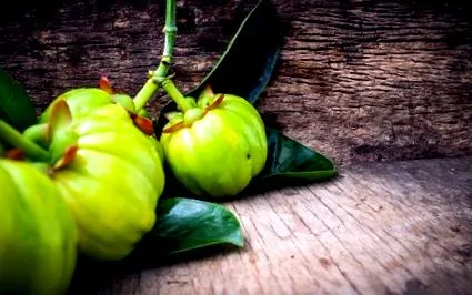 garcinia