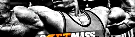 endomorph