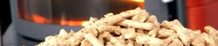 pellet