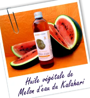 kalahari növényi