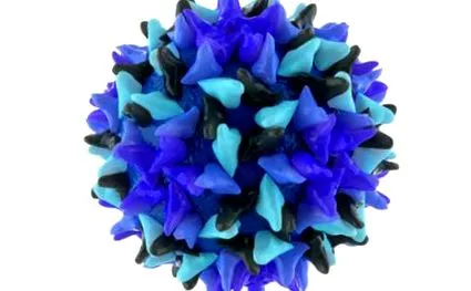 hepatitis vírus