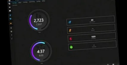garmin