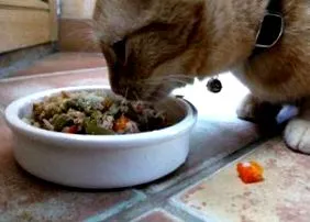 naturală dieta