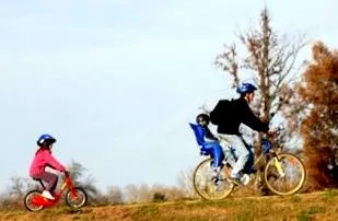 fizică