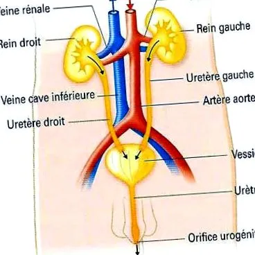 centrul
