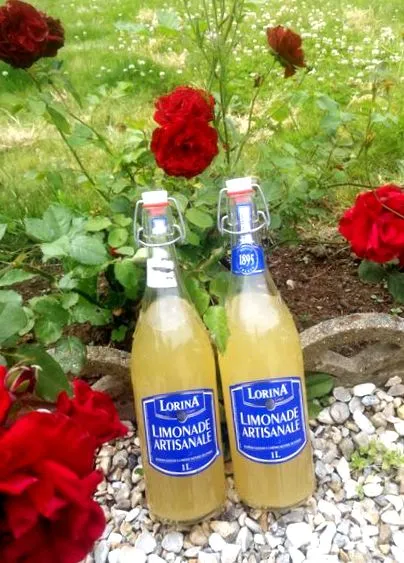 kefir pentru