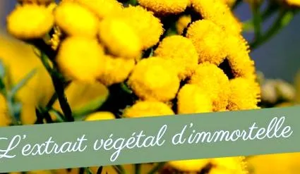 immortelle