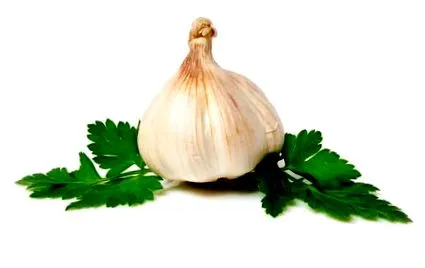 longevității longevității