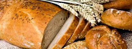 gluten