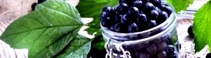 aronia kerülő