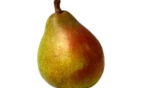 comice fruit
