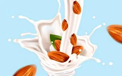 legume legume