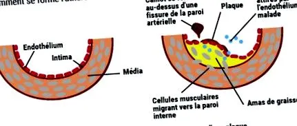 centrul