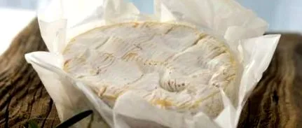 секторна