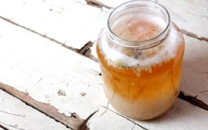 rejtélye kefir vizet