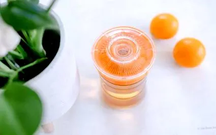 kombucha