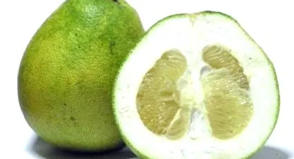 binefăcător