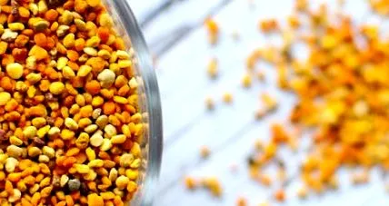 pollen