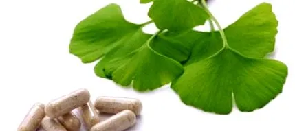 ginkgo