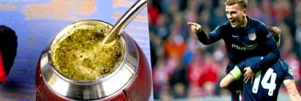 maté