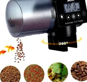 Focuspet Fish