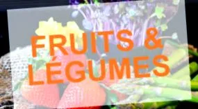 legume legume