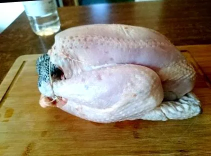 bază găină