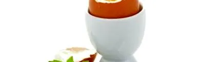egészséges egészséges