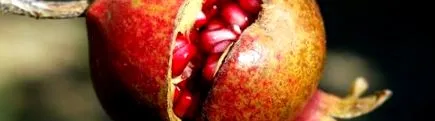 novemberre
