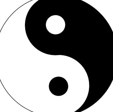 principiile
