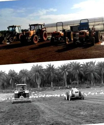bénin