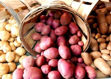 відповідальну кухню