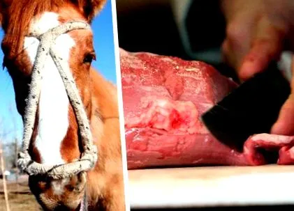 откриете
