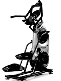amely trainer
