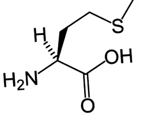 aminosav aminosav