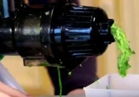 vegetală