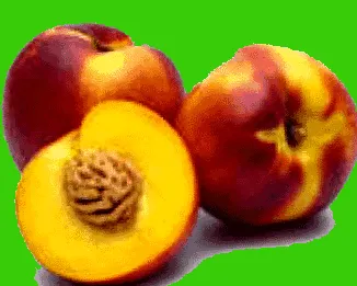 kifejezést akkor