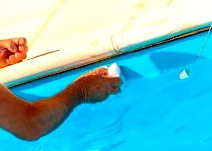 piscina