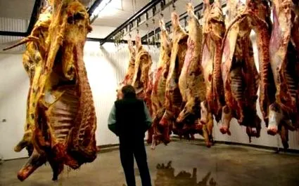 carne