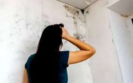 bicarbonat sodiu pereți