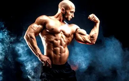 toutelanutrition