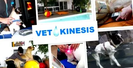 vetokinesis
