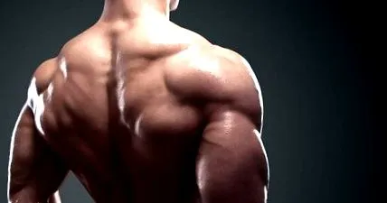 toutelanutrition