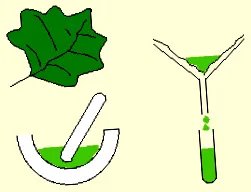 e-pigment