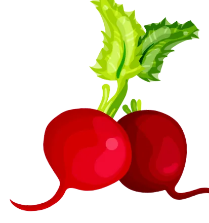 legume
