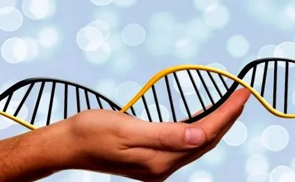 vagy nutrigenomics
